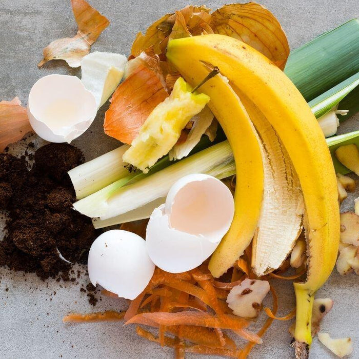 How to compost food scraps at home
