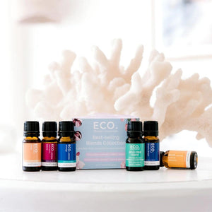 ECO Modern Essentials Best-Selling Pure Essential Oil Blends Collection - 6 pack--Hello-Charlie