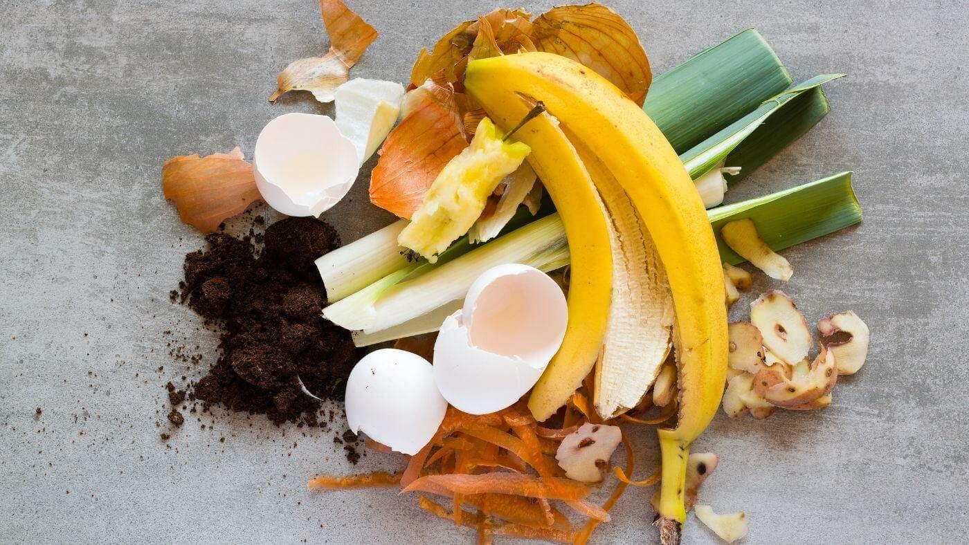 How to compost food scraps at home
