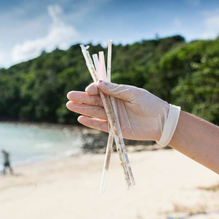 Eco Tip - Ditch the Single Use Plastic Straws-Hello-Charlie