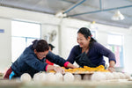 Eco-Friendly-Laundry-Made-Easy-How-Wool-Dryer-Balls-Save-Time-Money-and-the-Planet Hello Charlie