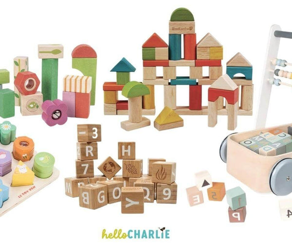 Why Building Blocks Are One of the Best Toys for Children – Hello Charlie