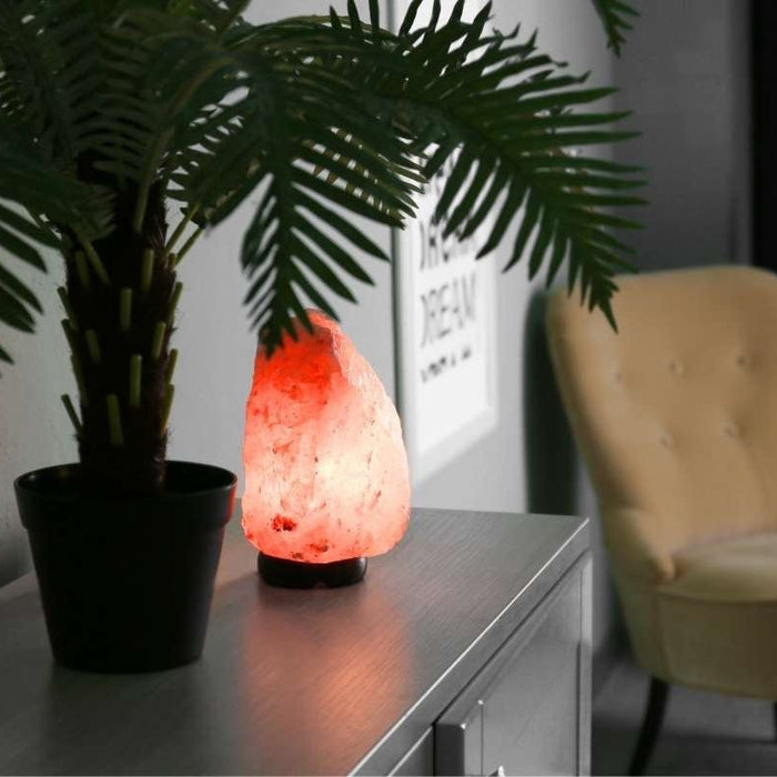 Natural Ways to Clean Indoor Air - Hello Charlie