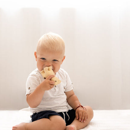 Tikiri My First Zoo Natural Rubber Teether & Rattle - Crocodile