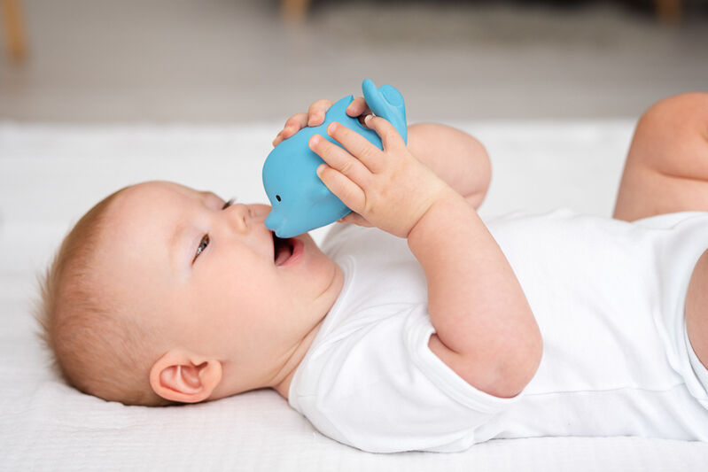 Tikiri Ocean Buddies -  Dolphin