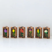 Oli & Carol Baby Rattle Toy - Grape-Oli & Carol-Hello Charlie