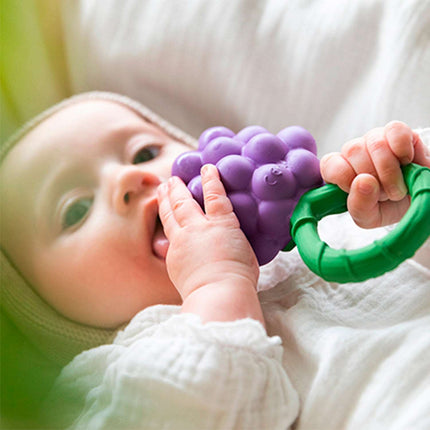 Oli & Carol Baby Rattle Toy - Grape-Oli & Carol-Hello Charlie