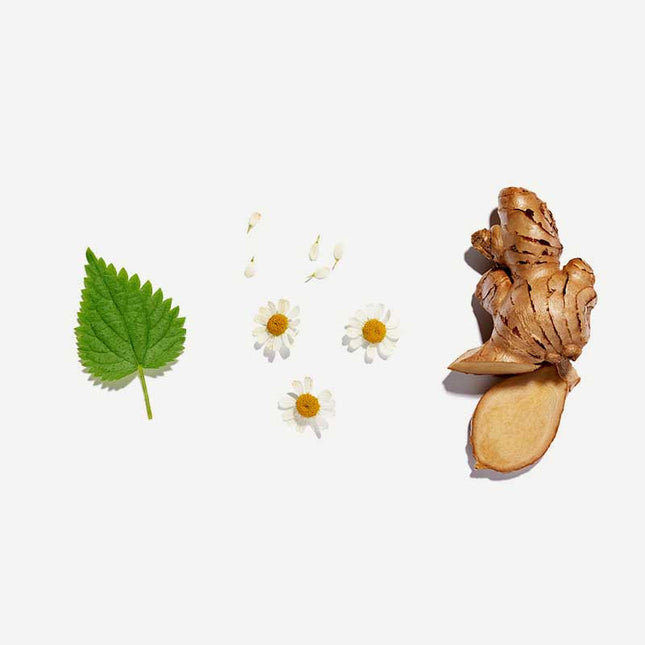 Love Tea Organic Pregnancy Tea x 20 Pyramids-Love Tea-Hello Charlie