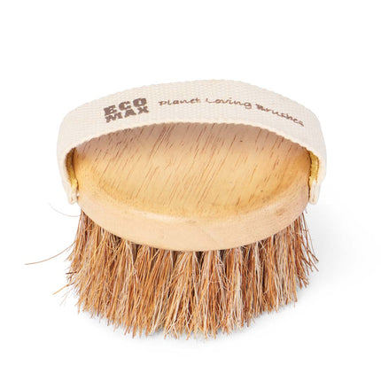 ECOMAX Spa Round Brush ECOMAX