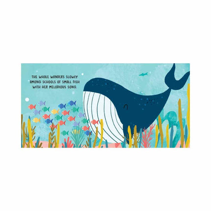 Sassi Board Book Sweet Sounds Stories - The Sea-Sassi Junior-Hello Charlie