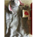 Apple Park Organic Blankie - Bunny--Hello-Charlie