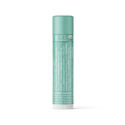 Badger Balm Natural & Organic Lip Balm - Highland Mint-Badger Balm-Hello Charlie