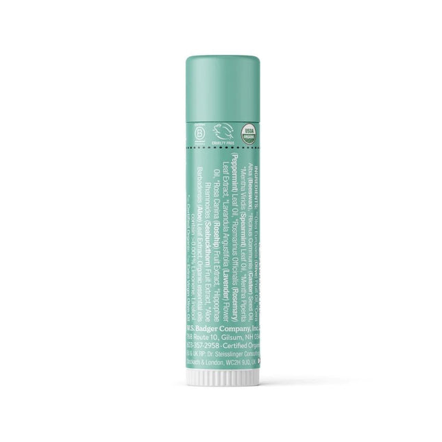 Badger Balm Natural & Organic Lip Balm - Highland Mint-Badger Balm-Hello Charlie