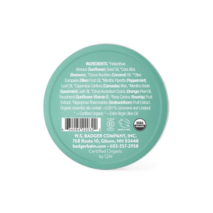 Badger Balm Organic Lip Butter Tin - Highland Mint-Badger Balm-Hello Charlie
