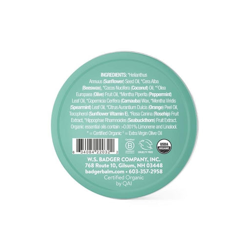 Badger Balm Organic Lip Butter Tin - Highland Mint - Hello Charlie