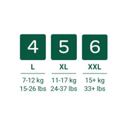 Bambo Nature Eco Training Pants Size 4 L - Bulk-Bambo Nature-Hello Charlie