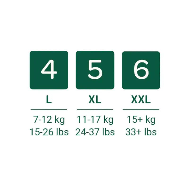 Bambo Nature Eco Training Pants Size 4 L - Bulk-Bambo Nature-Hello Charlie