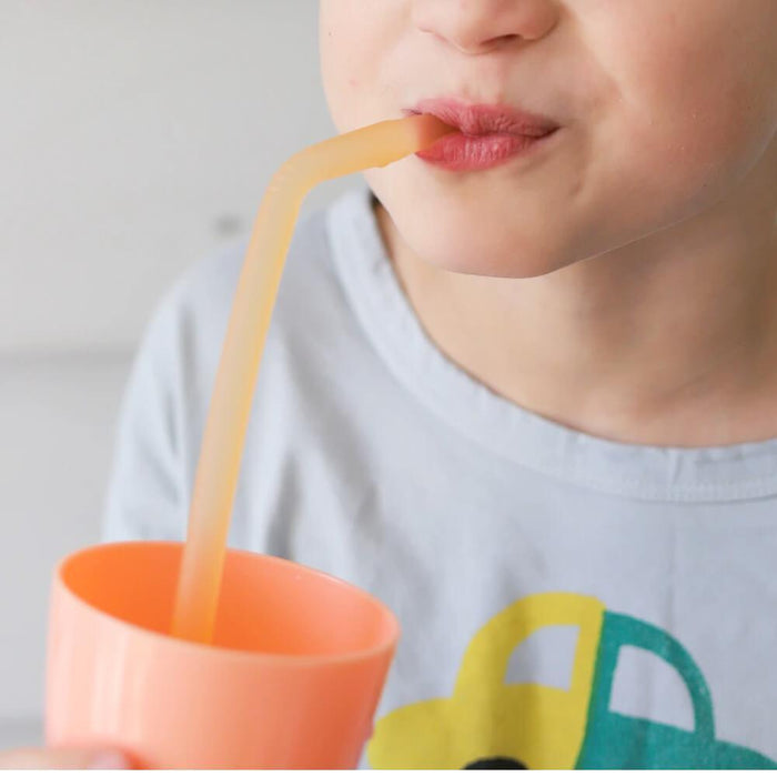 b.box Reusable Silicone Straw - Hello Charlie