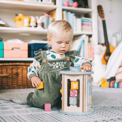 Bigjigs Toys FSC Wooden Sensory Blocks-BigJigs-Hello Charlie