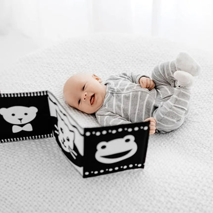 Books for Newborns - Faces for Baby Cloth Book-Mesmerised Books for Newborns-Hello Charlie