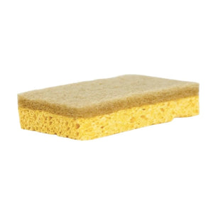 Clover Fields Dish Sponge - Cellulose & Sisal--Hello-Charlie