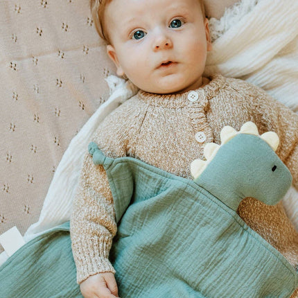 Organic Muslin Dinosaur Lovey