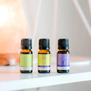 ECO Modern Essentials Calm & Destress Essential Oils Trio - 3 pack-ECO. Modern Essentials-Hello Charlie