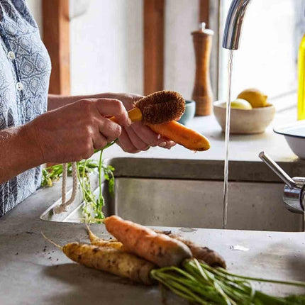 ECOMAX Veggie Brush with Handle - Hard-ECOMAX-Hello Charlie