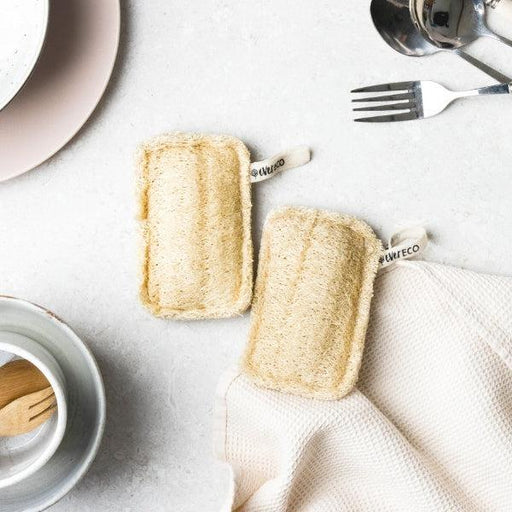 Ever Eco Loofah Dish Sponges - Hello Charlie