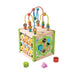 Everearth My First Multi Play Activity Cube - Hello Charlie