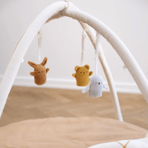 Fabelab Baby Gym Accessories - Fabbies - Hello Charlie