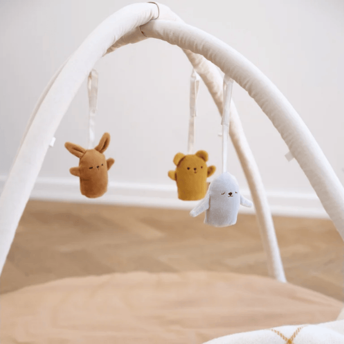 Fabelab Baby Gym Accessories - Fabbies-Hello-Charlie