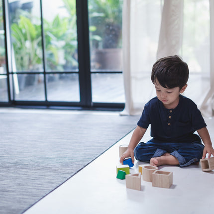 PlanToys Geo Matching Boxes