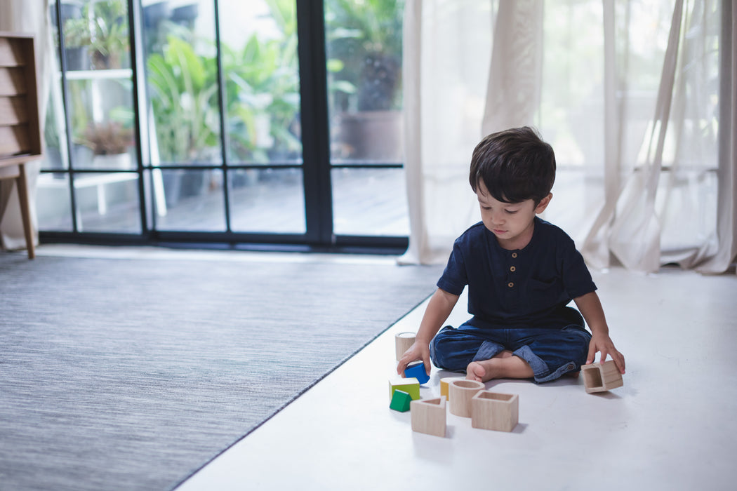 PlanToys Geo Matching Boxes