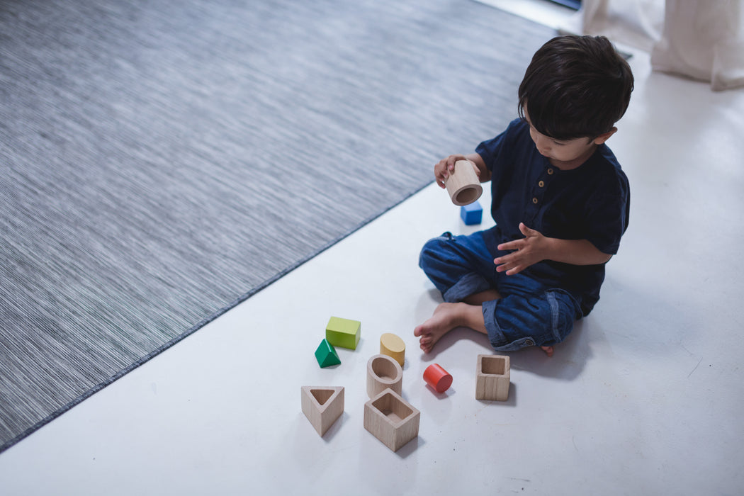 PlanToys Geo Matching Boxes