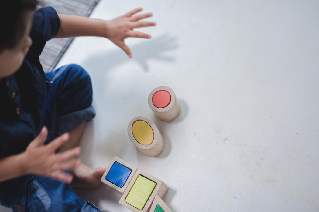 PlanToys Geo Matching Boxes