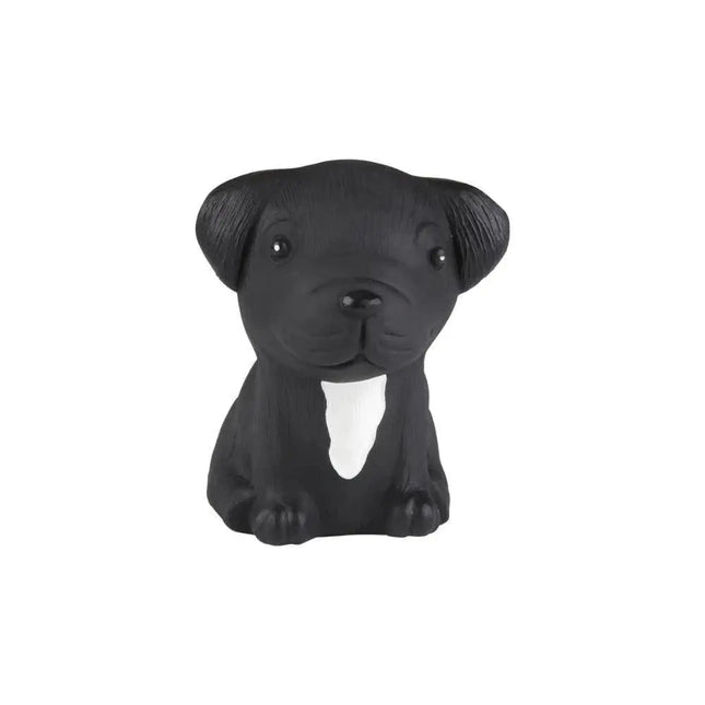 Hevea Natural Rubber Puppy - French Bulldog-Hevea-Hello Charlie