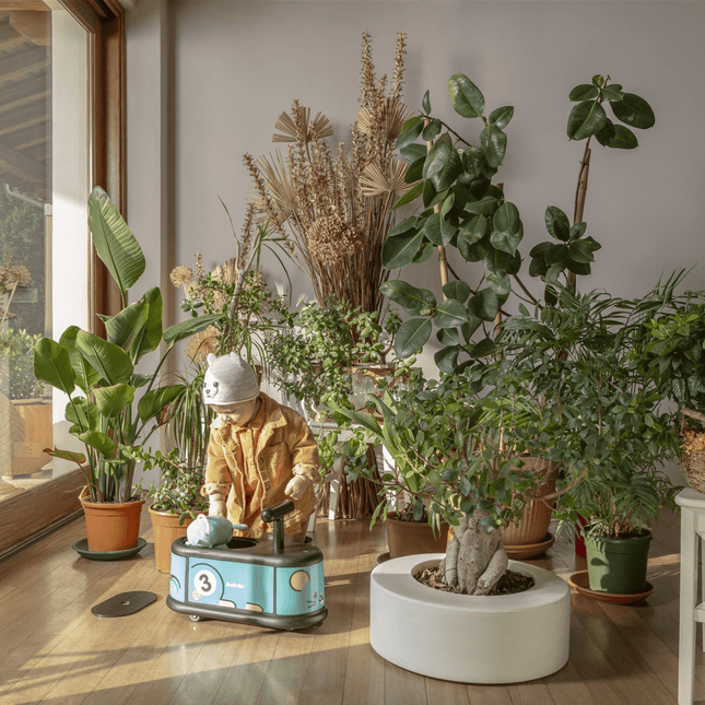 Italtrike La Cosa Ride On Toy Car - Mouse-Italtrike-Hello Charlie