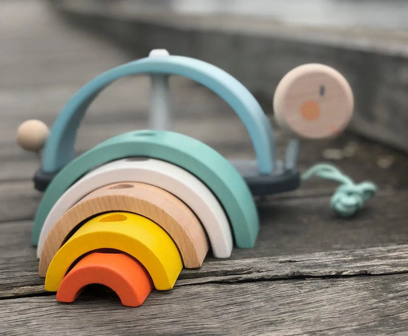 Janod Cocoon Rainbow Turtle-Janod-Hello Charlie