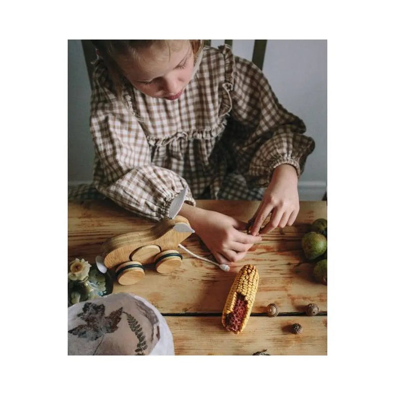 Kinderfeets Push and Pull Toy-Kinderfeets-Unicorn-Hello Charlie