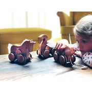Kinderfeets Push and Pull Toy-Kinderfeets-Unicorn-Hello Charlie