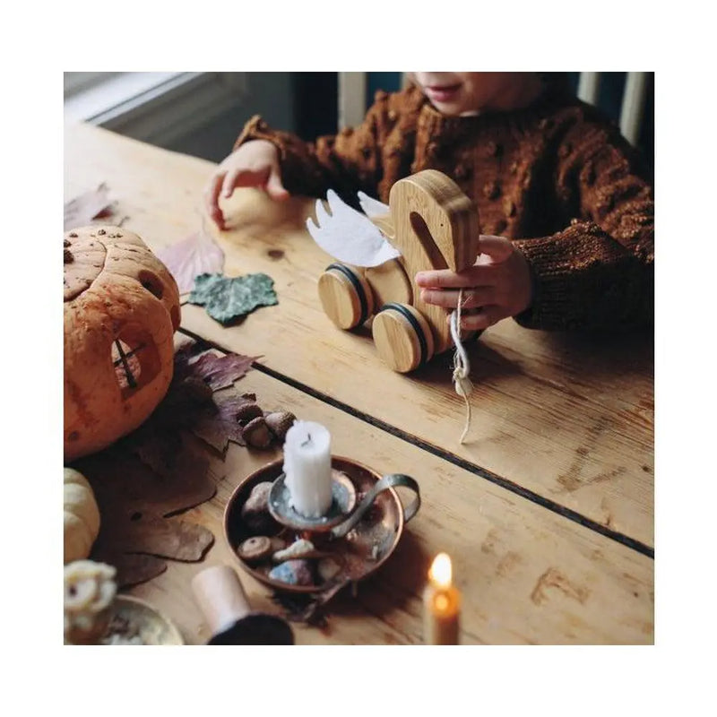 Kinderfeets Push and Pull Toy-Kinderfeets-Unicorn-Hello Charlie