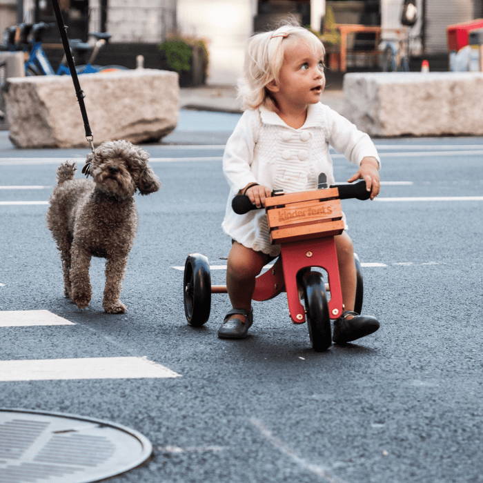 Kinderfeets Tiny Tot Trike & Bike - Cherry Red - Hello Charlie