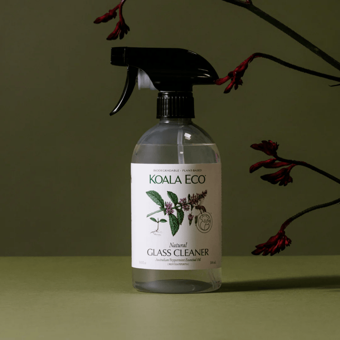 Koala Eco Glass Cleaner - Hello Charlie