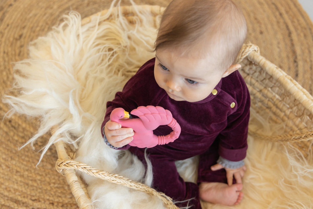 Natruba Natural Rubber Teether - Animal - Hello Charlie