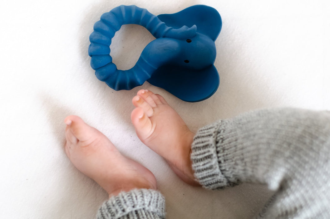 Natruba Natural Rubber Teether - Animal - Hello Charlie