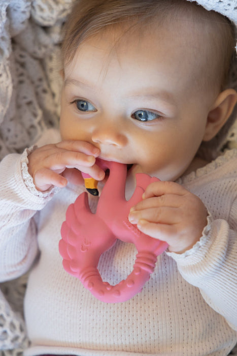 Natruba Natural Rubber Teether - Animal - Hello Charlie