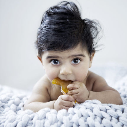 Natural Rubber Soothers - Fish Teether-Natural Rubber Soothers-Single Pack-Hello Charlie