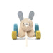Plan Toys Hopping Rabbit--Hello-Charlie