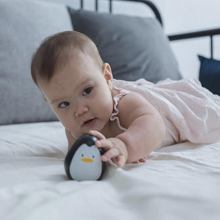 Plan Toys Penguin-Plan Toys-Hello Charlie